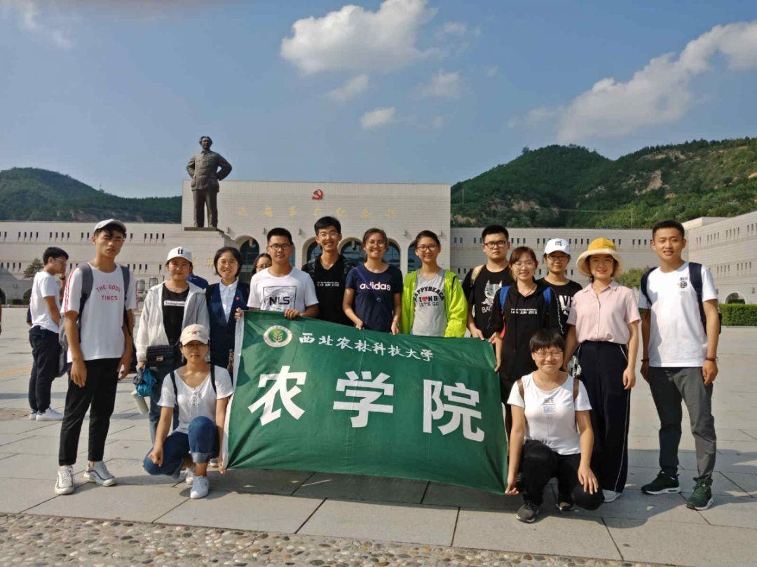 现代女孩的衣柜